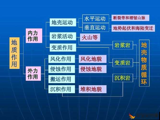 泰拉瑞亚游戏内森林地形特征、资源分布及生存策略全面分析介绍